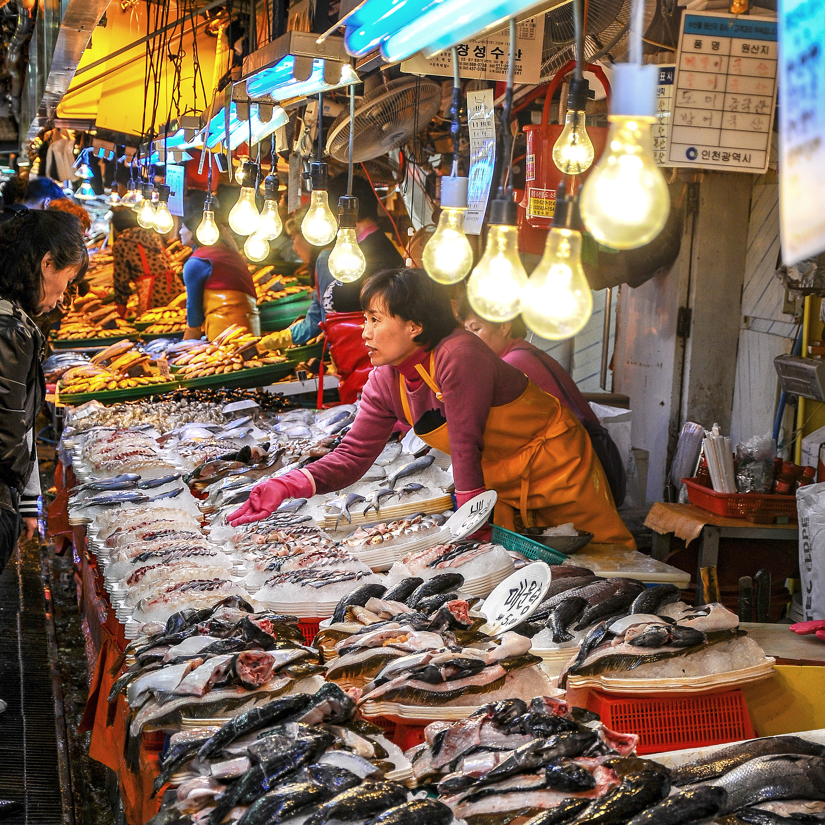 Seafood Supplier Fish Market